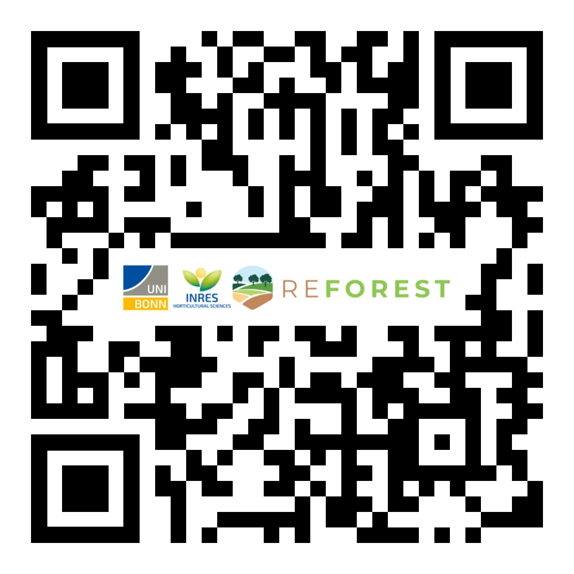 Multiple fruit tress with honey