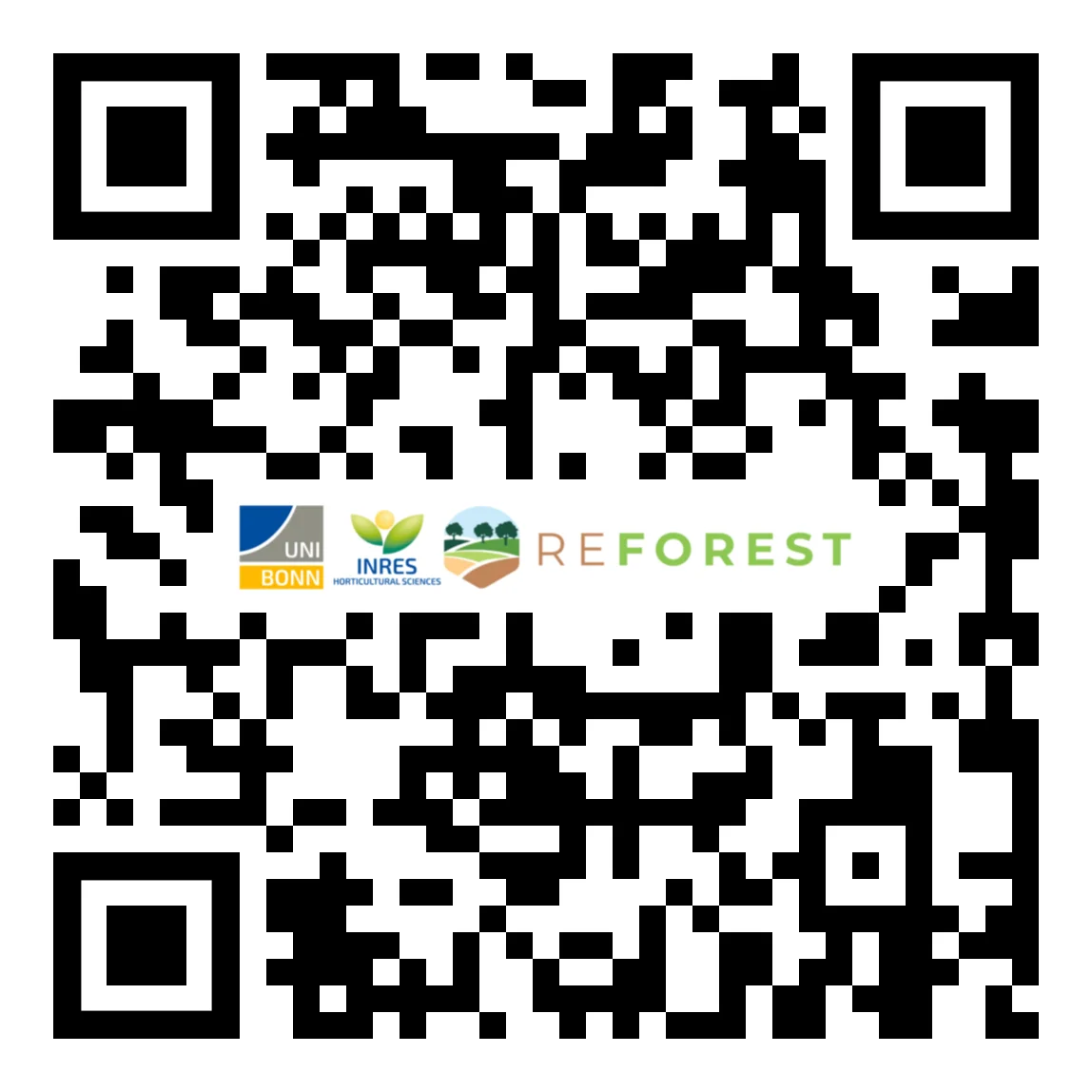 Silvopastoral System