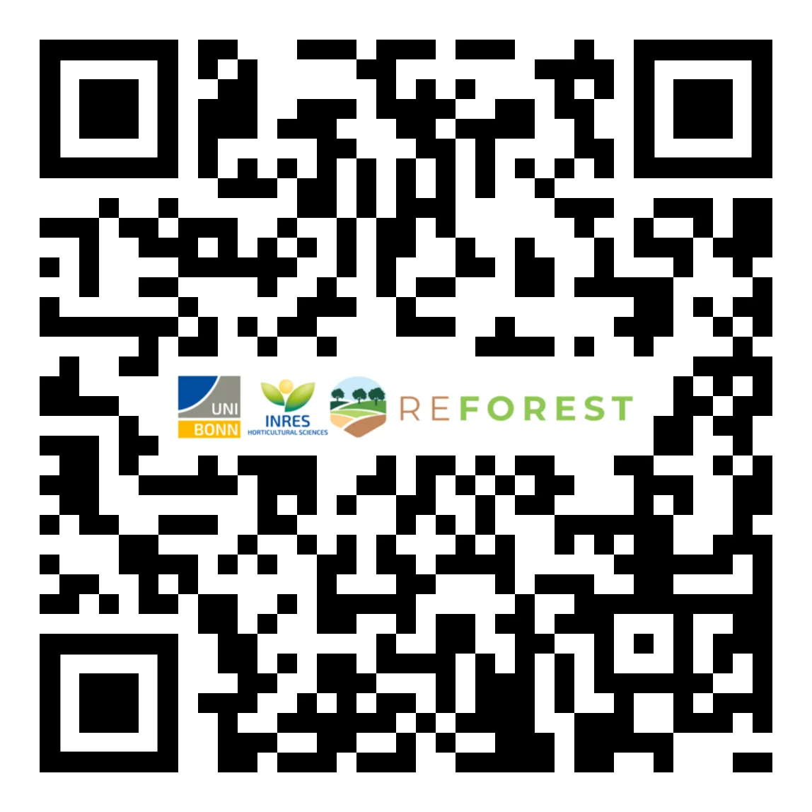 Walnut Alley Cropping