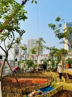 Garden construction