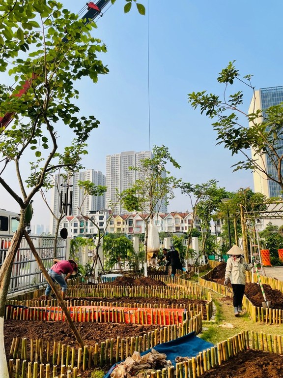 Garden construction