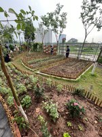 Garden growing