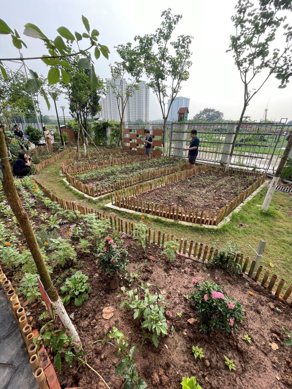 Garden growing
