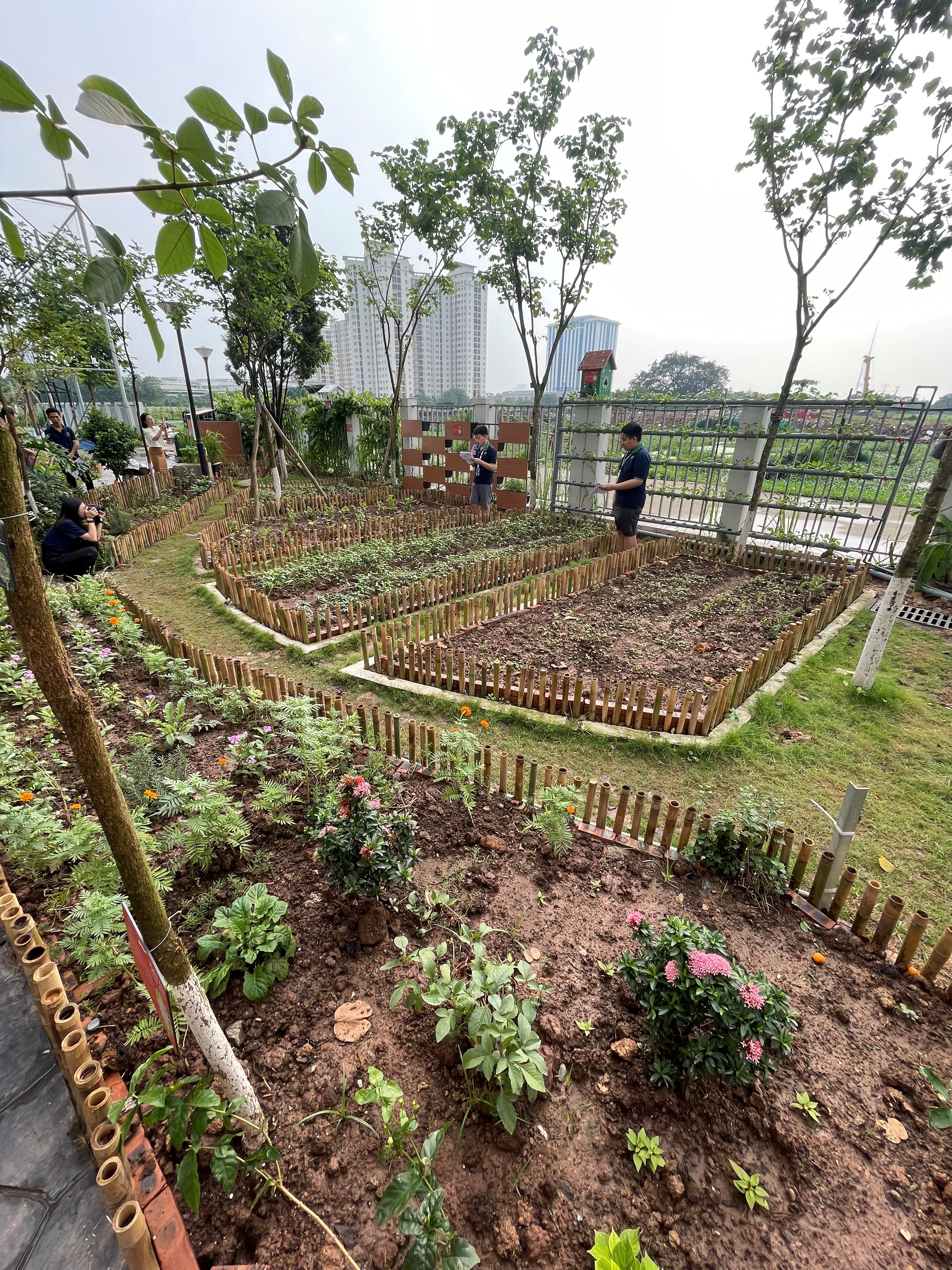 Garden growing