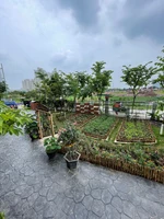 Graden growing 2