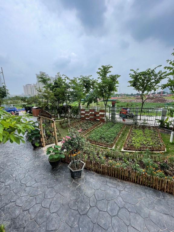 Graden growing 2