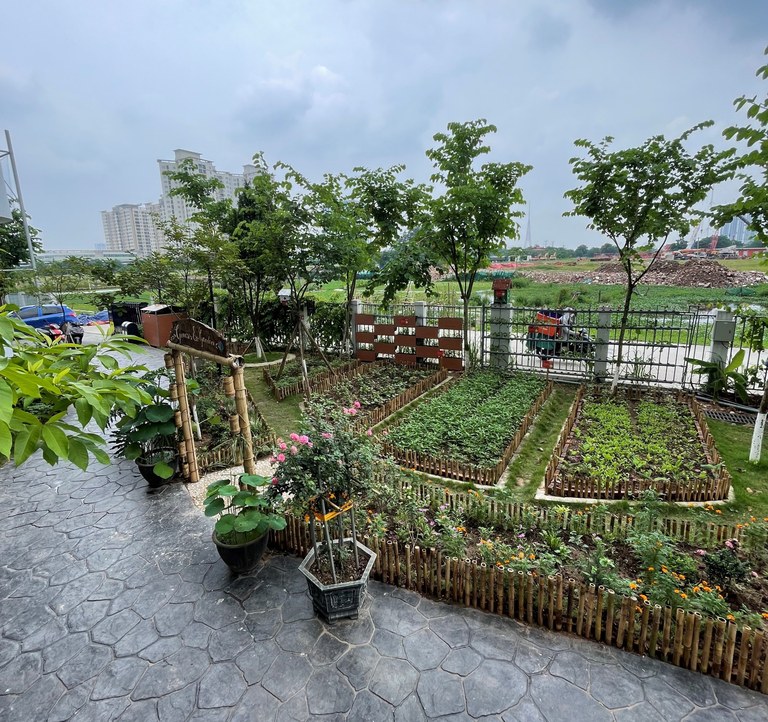 Garden growing croped