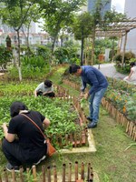 garden harvest 2