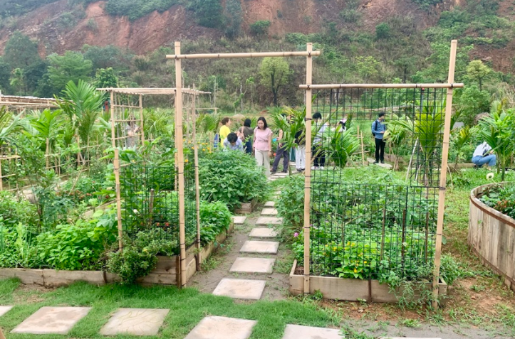 Visit Farm
