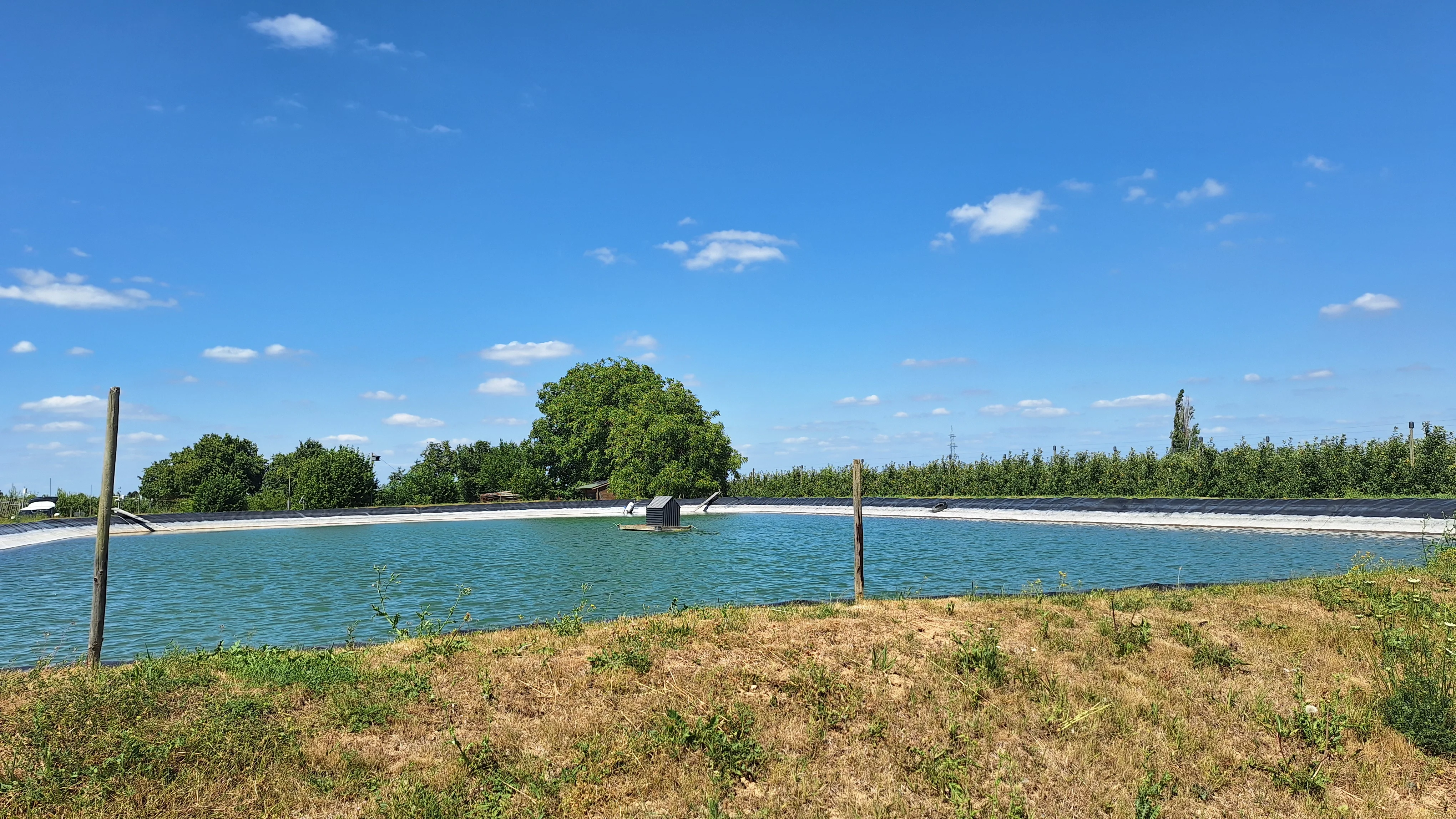 Irrigation_pond_at_CKA.jpg