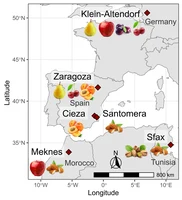 Overview of the study region