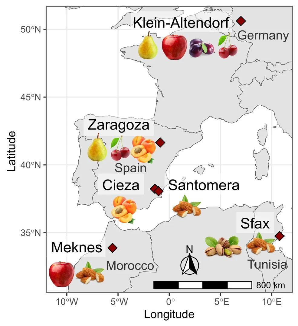 Overview of the study region